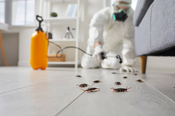 Commercial Kitchen Cockroach Control in Harwich Center